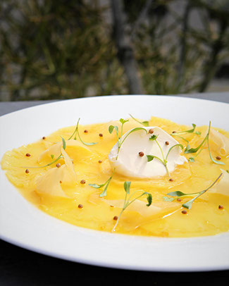 Carpaccion De Abacaxi - com gengibre e calda de laranja com especiarias, queijo mascarpone caseiro e brotinho de coentro